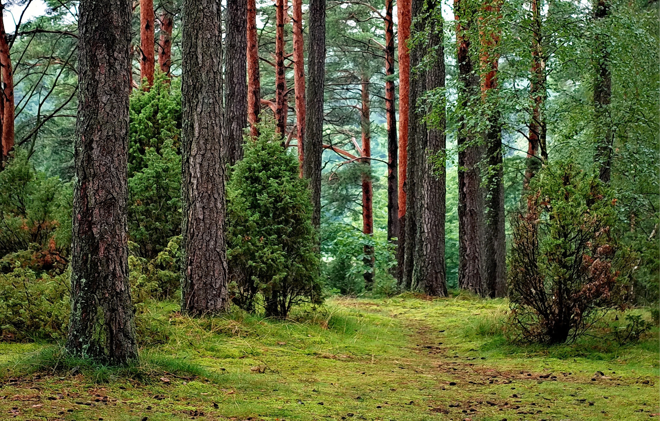 Zmiana przeznaczenia gruntu leśnego na zabudowany